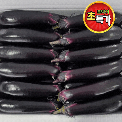 ★알뜰 특가★ 가지 (상 / 국내산) 5kg 내외 box