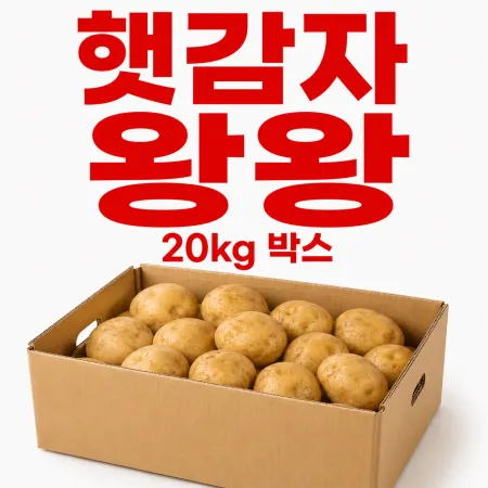 ★알뜰 특가★ 햇감자 (왕왕 / 국내산) 20kg box