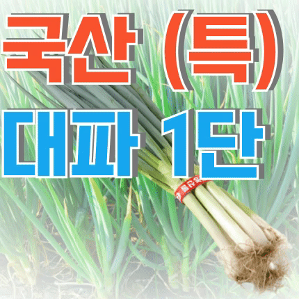 ⭐첫구매 특가⭐ 흙 대파 (국내산) 1단