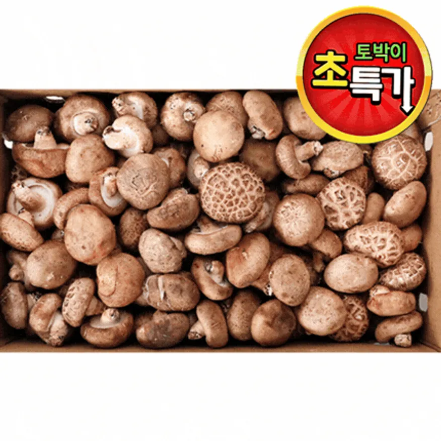 ★알뜰 특가★ 표고버섯 (수입산) 4kg box 이미지