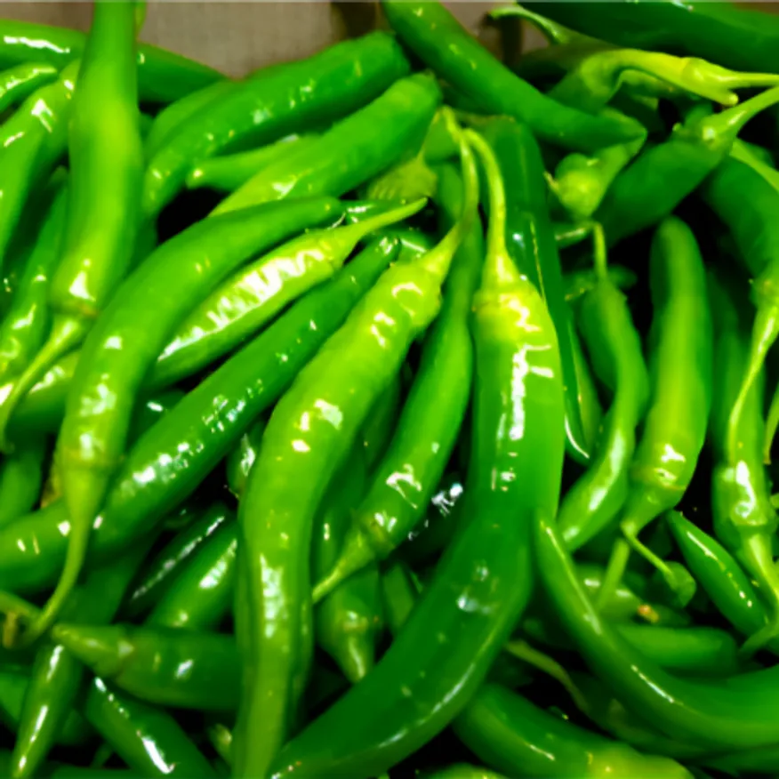 ★알뜰 특가★ 아삭이고추 (상 / 벌크 / 오이고추 / 국내산) 10kg 내외 box 이미지