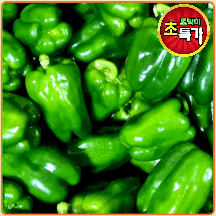 ★알뜰 특가★ 청피망 (상 / 국내산) 10kg box