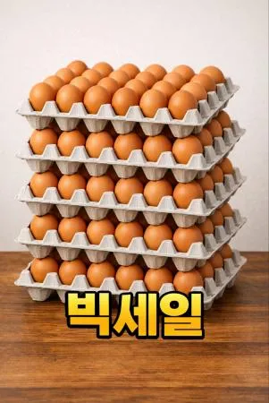 계란(특란/30알)판♥초특가♥