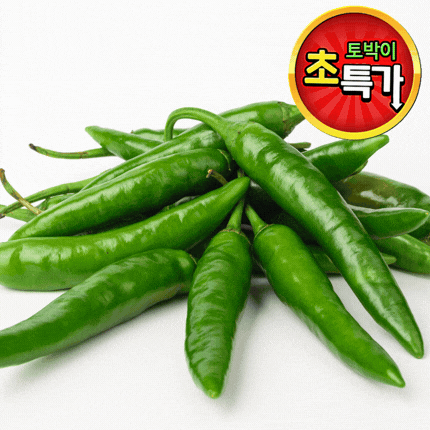 ★알뜰 특가★ 청양고추 (특 / 국내산) 1kg