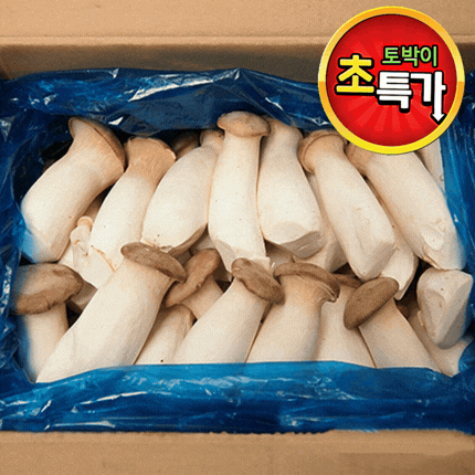 ★알뜰 특가★ 새송이 (새송이버섯 / 상 / 국내산) 2kg box