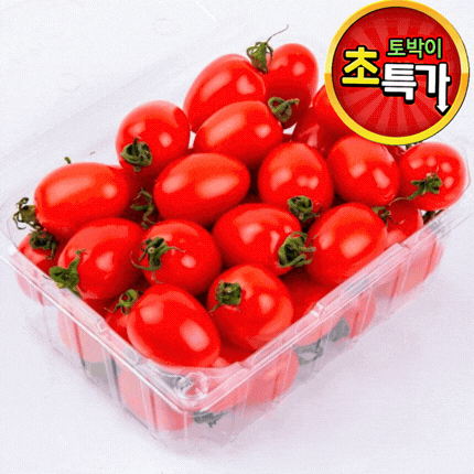 ★과일 특가★ 대추방울토마토 (2호 / 3번 / 빨강) 750g