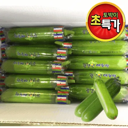 ★알뜰 특가★ 인큐 애호박 (상 / 20ea / 국내산) 6kg 내외 box