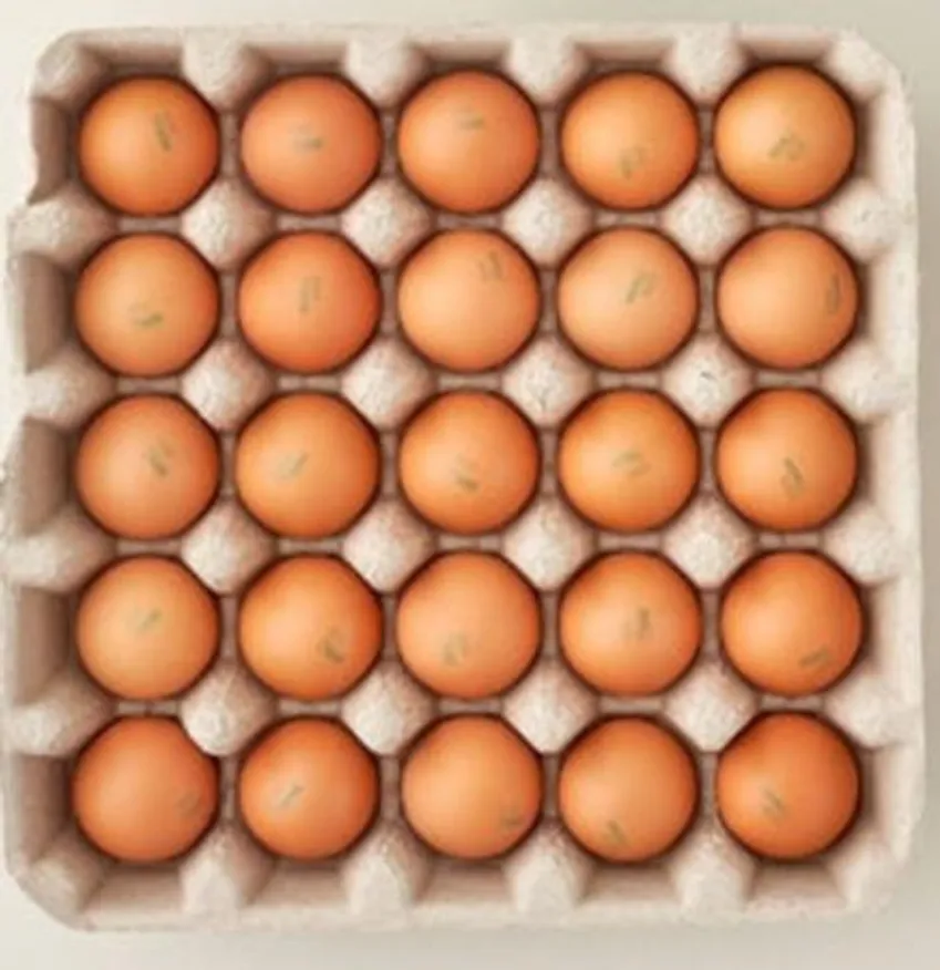 계란(특란/30알)판♥초특가♥ 이미지