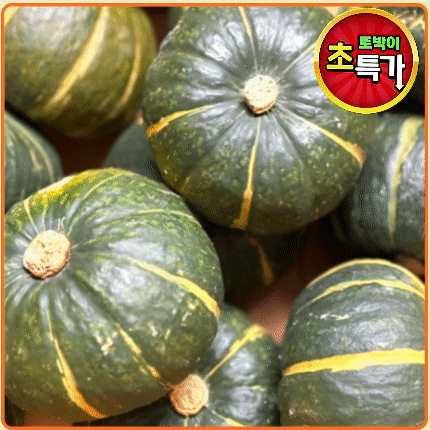 ★알뜰 특가★ [교차 출고] 수입 단호박 (7-11수 / 수입산) box