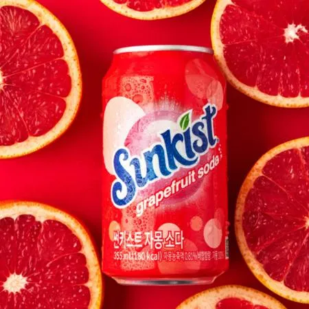 썬키스트 자몽소다 뚱캔 355ml 24개