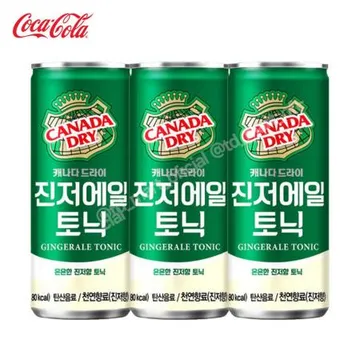 캐나다드라이 진저엘 250ml 30개