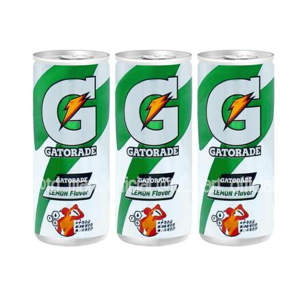 롯데 게토레이캔 240ml 30개