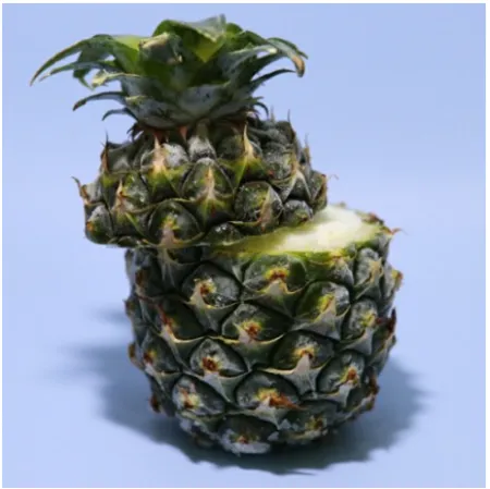 [마하] 파인애플 샤베트 130ml*20개 이미지