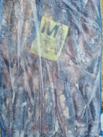 포클랜드 선동 포크오징어 M 20kg 냉동오징어 이미지