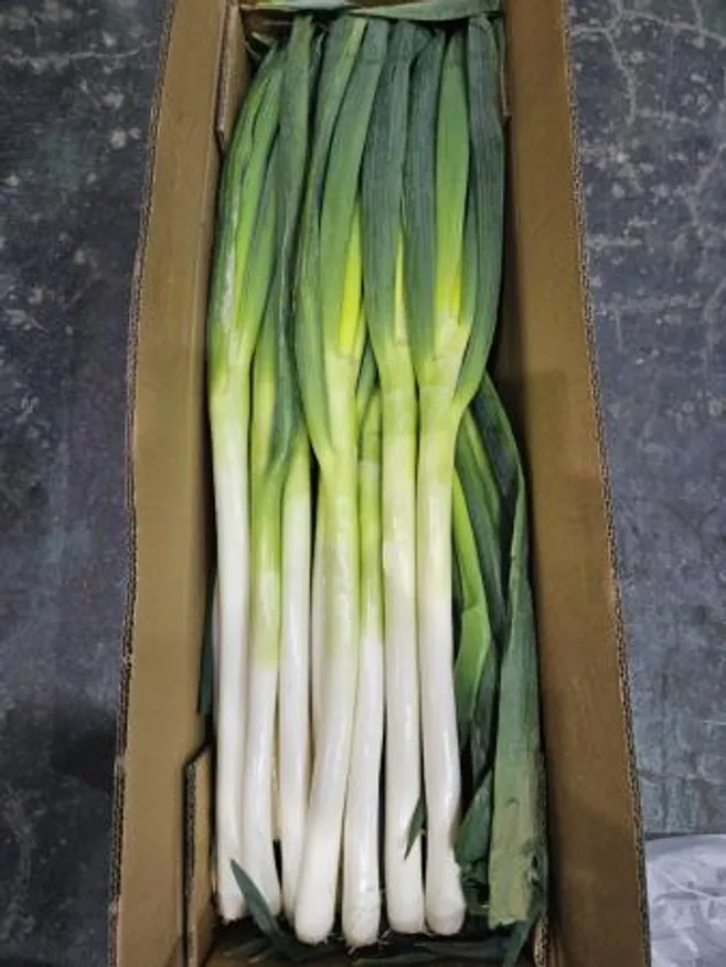 (무료배송) 대파 수입 10KG 중국산 손질 업소용 대용량 식자재 이미지