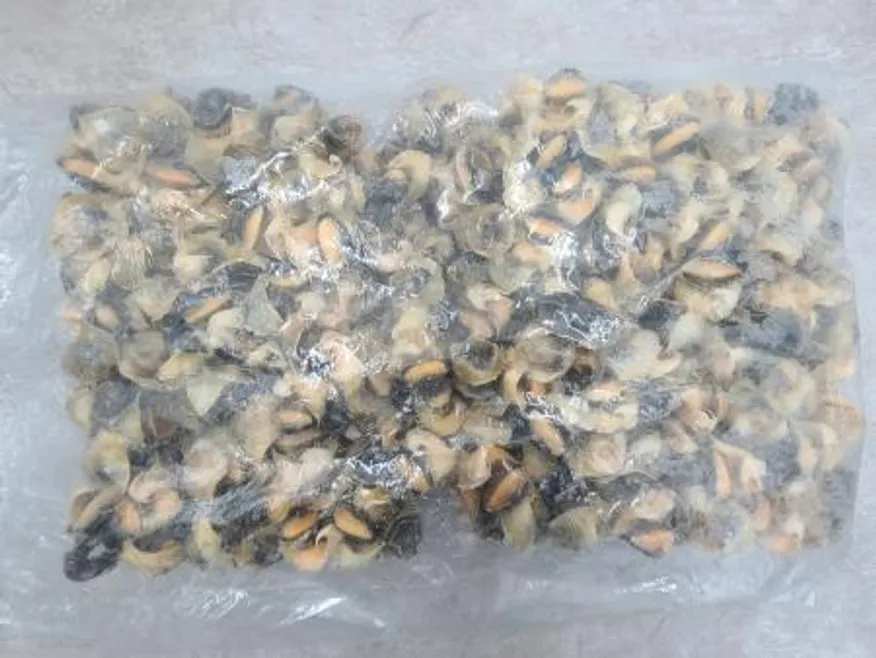 최상급 터키 참소라살 10kg 2L 피뿔고둥살 냉동 소라살 도매용 업소용 이미지