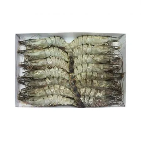 블랙타이거 새우 20미 500g(아이스박스 무료) 냉동 얼룩새우 킹 대왕 킹타이거새우