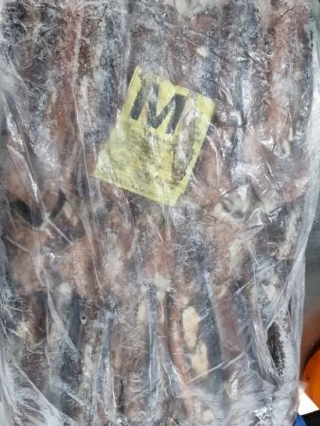 포클랜드 선동 포크오징어 M 20kg 냉동오징어 이미지