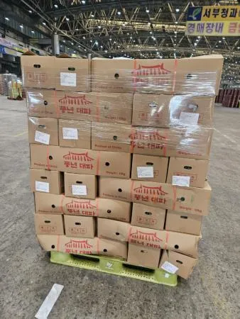 (무료배송) 대파 수입 10KG 중국산 손질 업소용 대용량 식자재 이미지