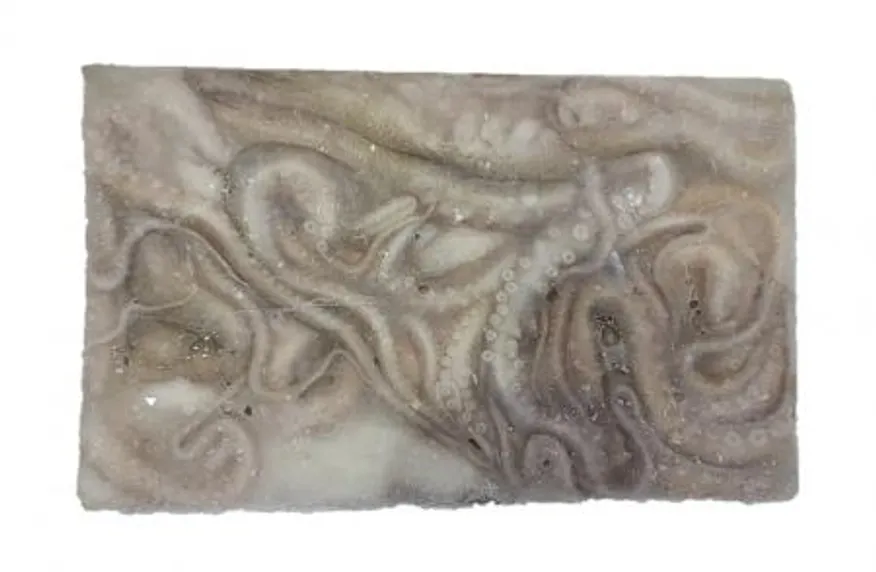 냉동낙지 활낙지(3미) 850g 업소용 박스 연포탕 낙지볶음 이미지