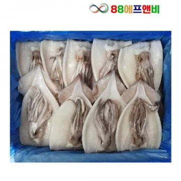 할복오징어 활복 냉동손질오징어 선동 활복 4kg 벌크형 무탈피 20~24미