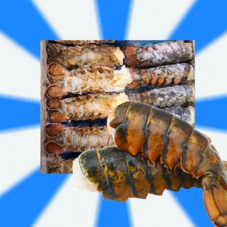 업소용 랍스타테일 1Box (4oz) 4.54kg 랍스타꼬리 최고등급