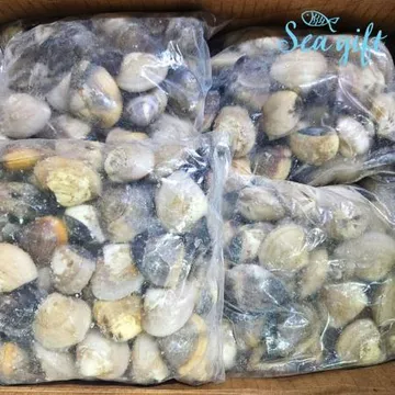 냉동 백합조개 5kg(1kg x 5팩) 탕 구이 파스타 대용량 업소용