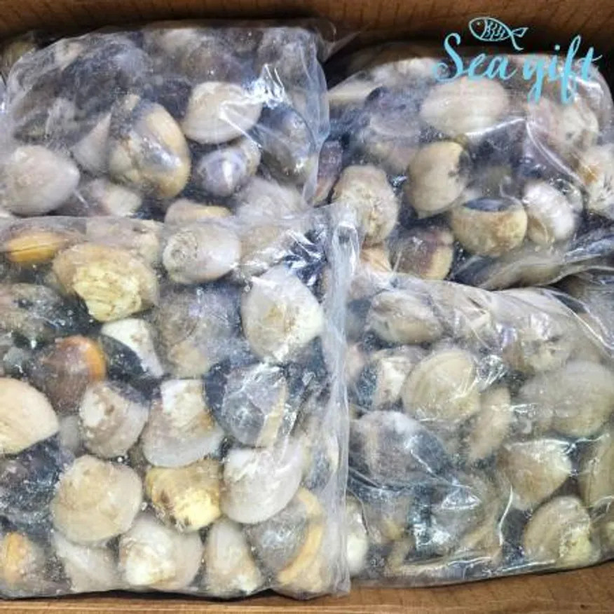 냉동 백합조개 5kg(1kg x 5팩) 탕 구이 파스타 대용량 업소용 이미지