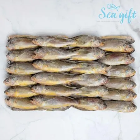 냉동 참조기 2.5kg 조기 구이 매운탕 이미지