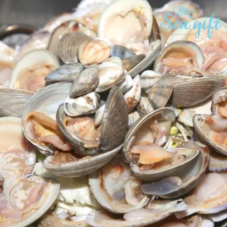 냉동 백합조개 1kg 해감 백합 탕 파스타 구이 찜 이미지