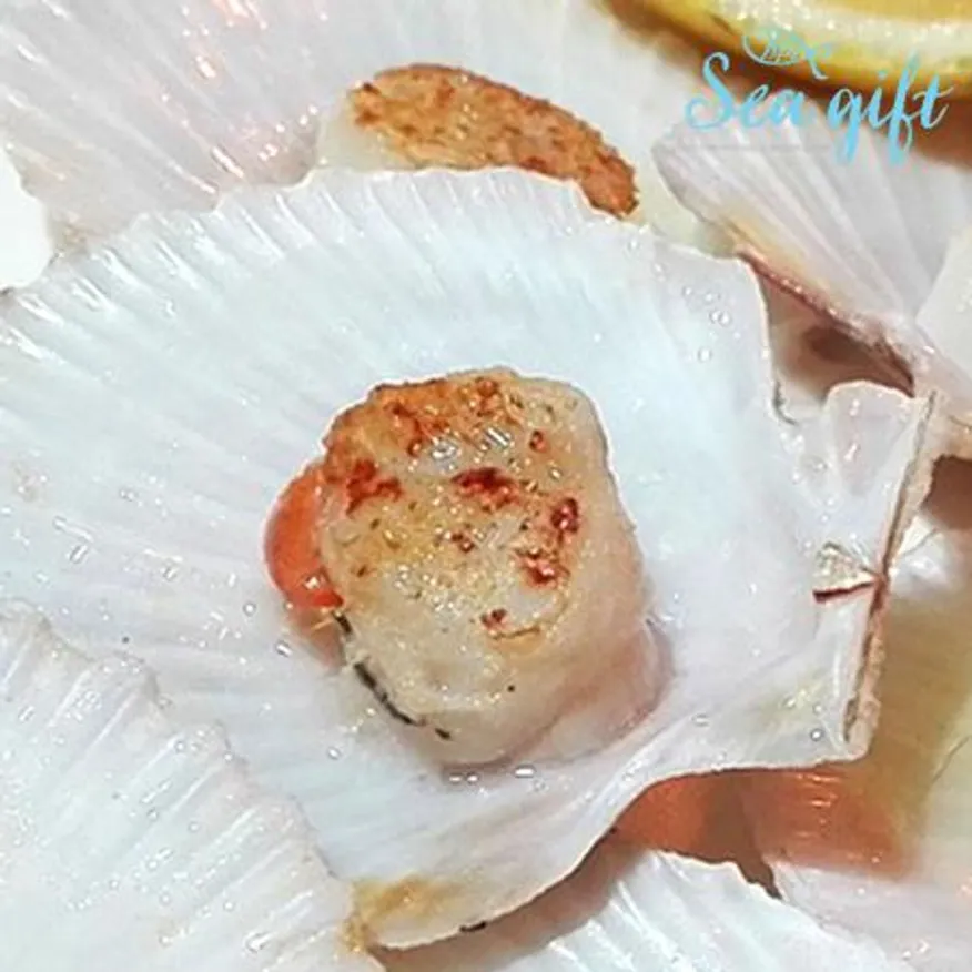 냉동 가리비 1.8kg(180g x 10팩) 반가리비 업소용 도매 구이 해물탕 이미지