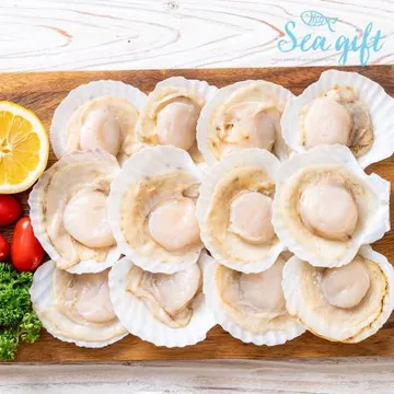 냉동 가리비 1.8kg(180g x 10팩) 반가리비 업소용 도매 구이 해물탕