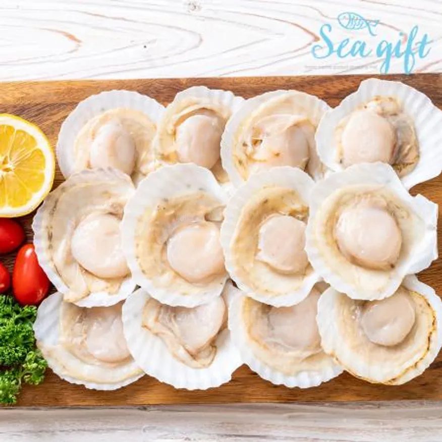 냉동 가리비 1.8kg(180g x 10팩) 반가리비 업소용 도매 구이 해물탕 이미지