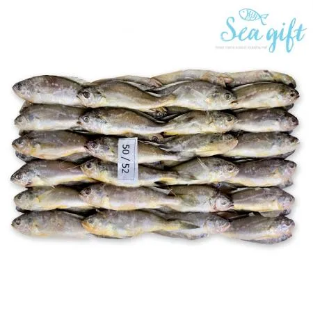 냉동 참조기 3.5kg (50-52) 조기 구이 매운탕