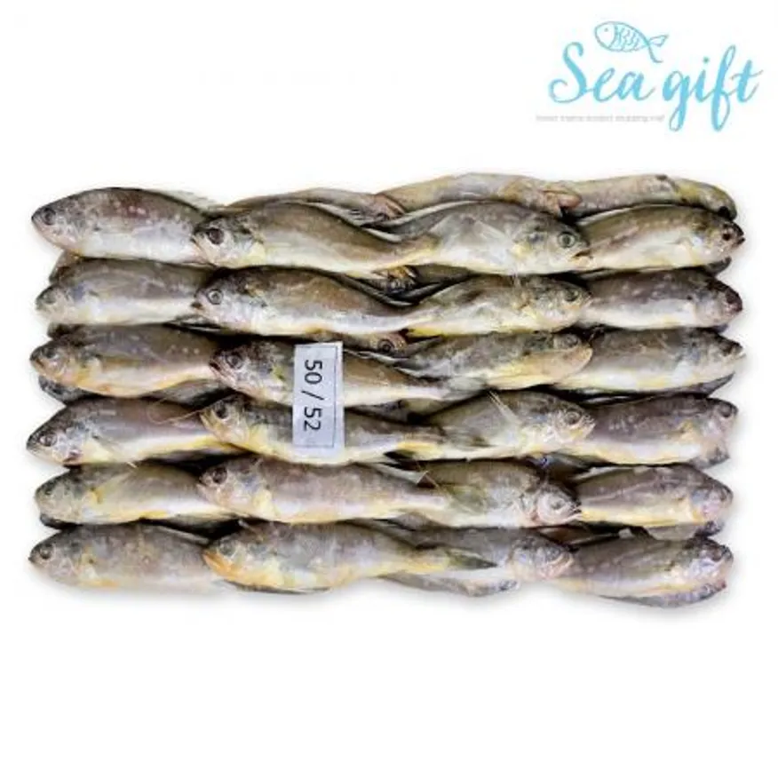 냉동 참조기 3.5kg (50-52) 조기 구이 매운탕 이미지