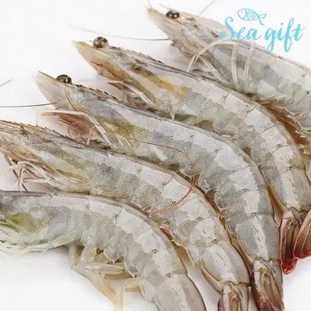 흰다리새우 20미 5kg(500g x 10ea) 이미지