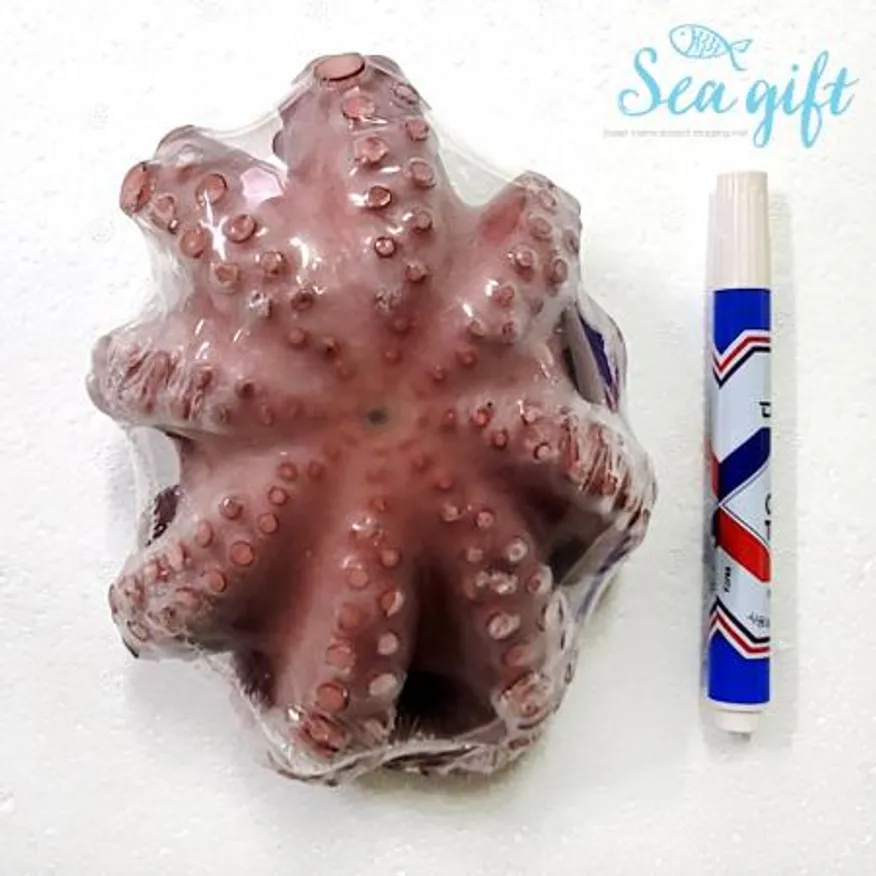 자숙통문어 8kg 내외 (박스당 12-15미) 이미지