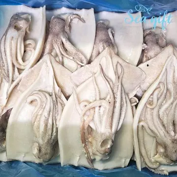 할복오징어 4kg 20미내외 벌크 손질 냉동 오징어 업소용