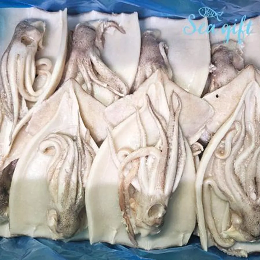 할복오징어 4kg 20미내외 벌크 손질 냉동 오징어 업소용 이미지