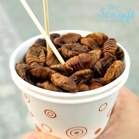 번데기 16kg(4kg x 4ea) 이미지