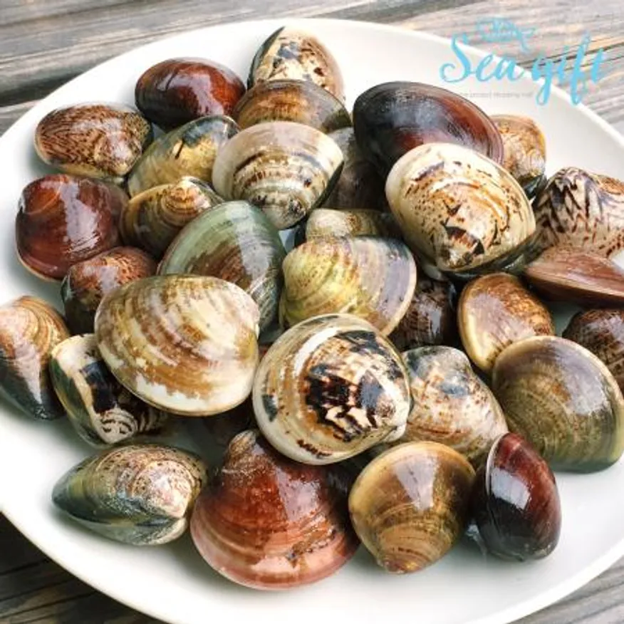 냉동 백합조개 1kg 해감 백합 탕 파스타 구이 찜 이미지