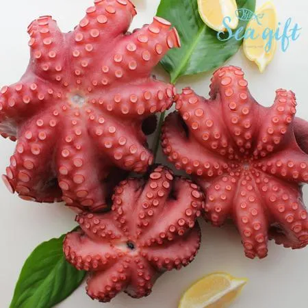 자숙통문어 8kg 내외 (박스당 12-15미) 이미지