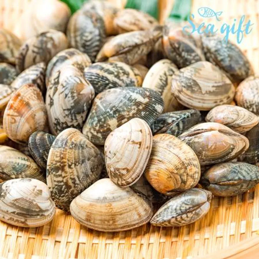 냉동 피바지락 5kg(500g x 10팩) 이미지