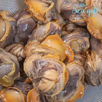 냉동 피조개살 10kg 손질 깐 조개살 피꼬막살 업소용