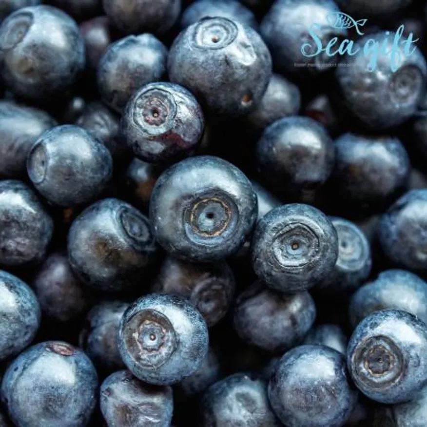 냉동 블루베리 10kg(1kg x 10ea) 이미지