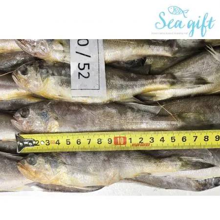 냉동 참조기 3.5kg (50-52) 조기 구이 매운탕 이미지