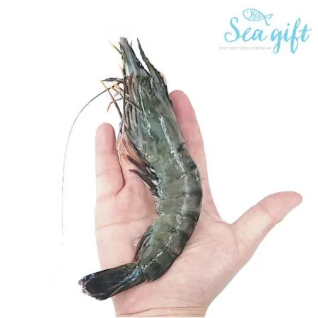 블랙타이거새우 10미 5kg(500g x 10ea) 이미지