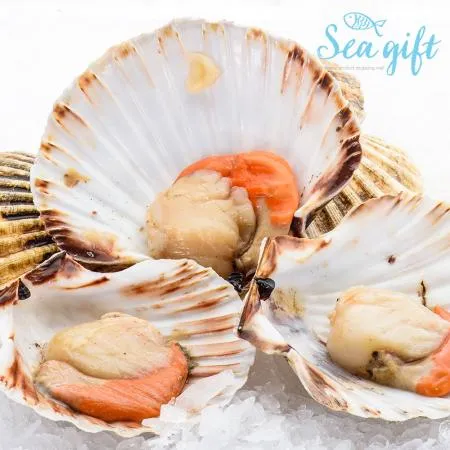 냉동 가리비 1.8kg(180g x 10팩) 반가리비 업소용 도매 구이 해물탕 이미지