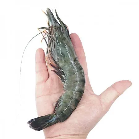 블랙타이거새우 30미 5kg(500g x 10ea) 이미지