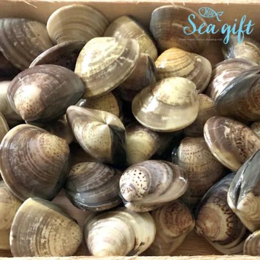 냉동 백합조개 5kg(1kg x 5팩) 탕 구이 파스타 대용량 업소용 이미지